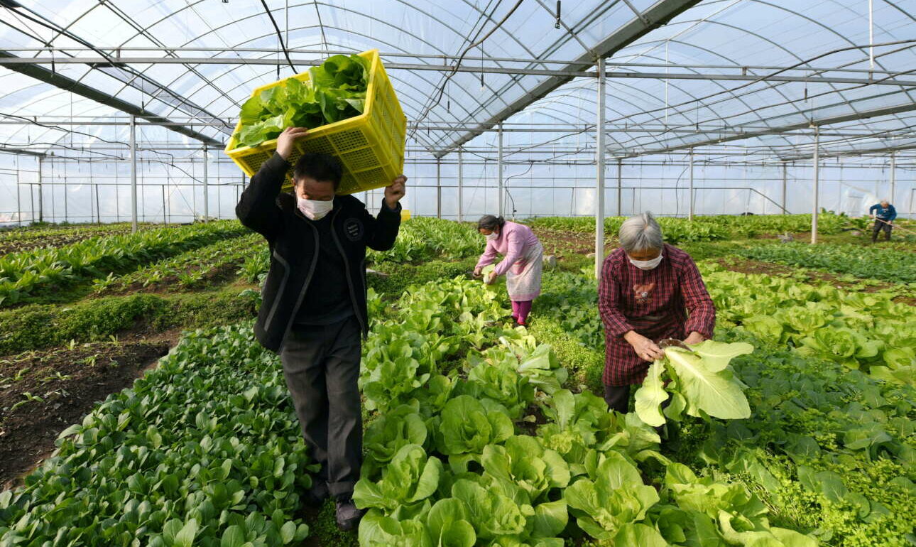 Συναγερμός από τον FAO: Σε υψηλό δέκα ετών οι τιμές των τροφίμων