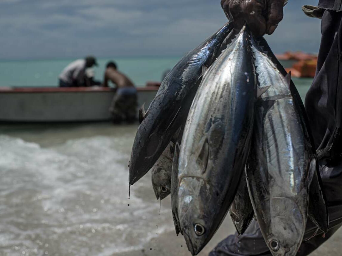 Κιριμπάτι: Η Οικονομία δεν άντεξε την προστασία των τόνων