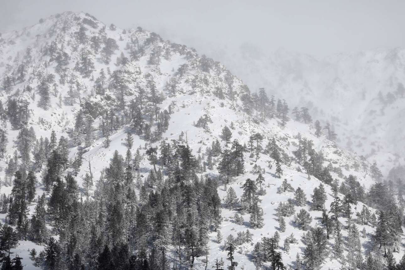 Πολικό ψύχος: -27,8 βαθμούς Κελσίου έδειξε ο υδράργυρος στο Βαθύσταλο Παρνασσού
