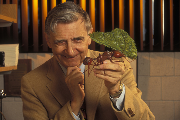 ΗΠΑ: Πέθανε ο Εντουαρντ Γουίλσον, ο «σύγχρονος Δαρβίνος»