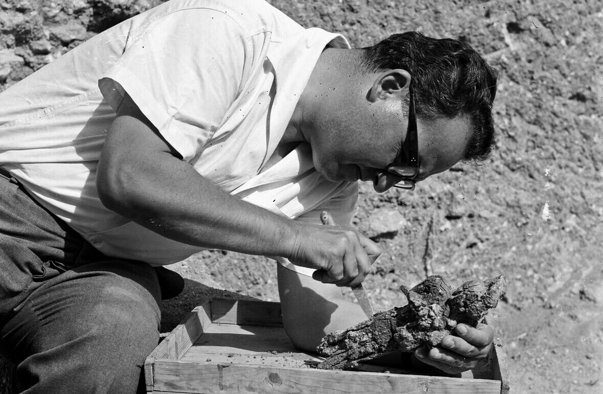 Πέθανε ο κορυφαίος αρχαιολόγος Βάσος Καραγιώργης