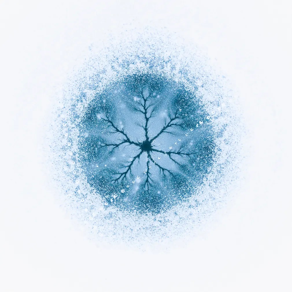 Με τίτλο «Κύτταρο Πάγου» η φωτογραφία αυτή που τραβήχτηκε στη Ρουμανία κέρδισε το βραβείο της κατηγορίας «Τέχνη της Φύσης»
