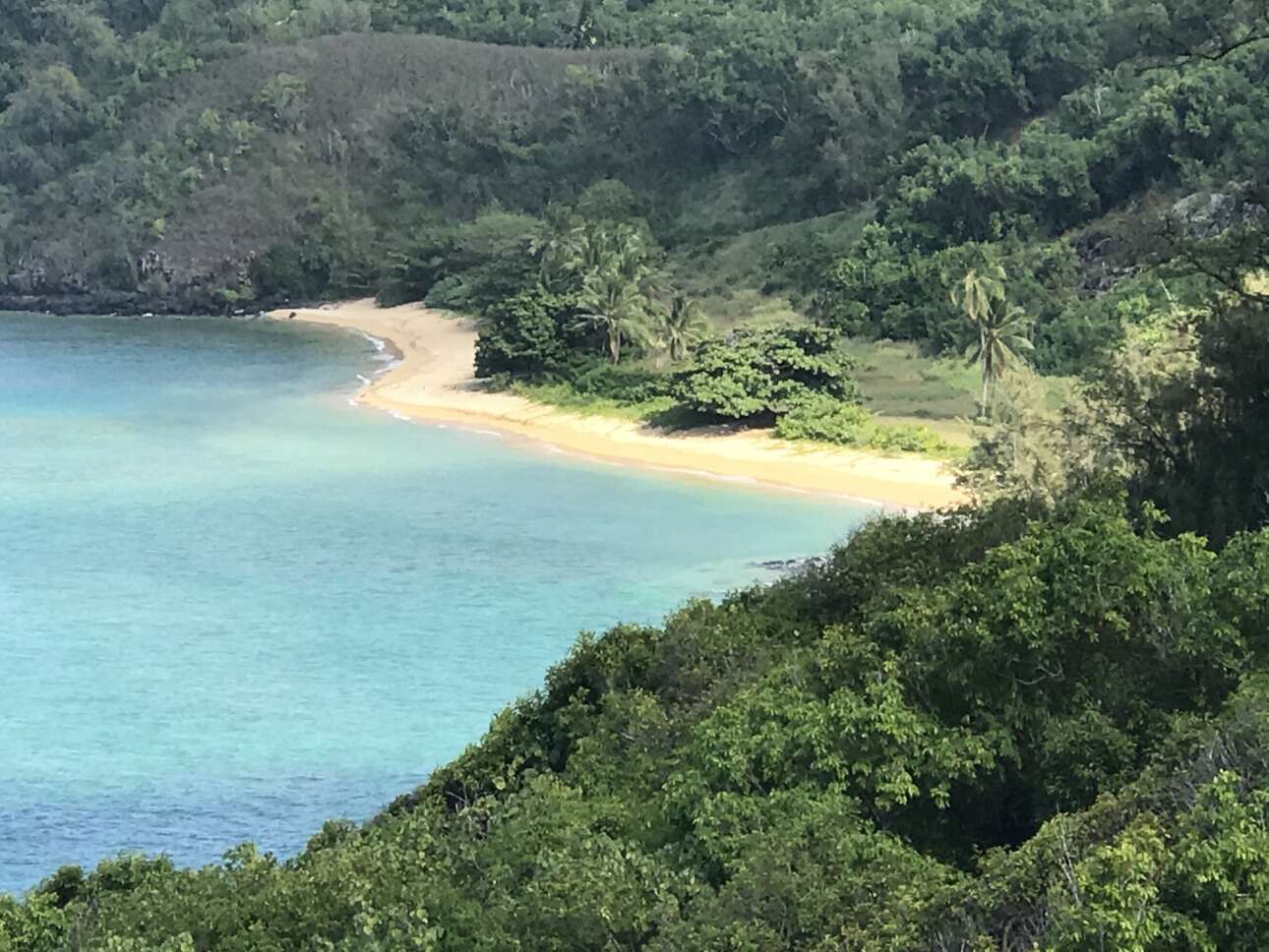 Χαβάη: Είχε 6.000 και αγόρασε ακόμη 445 στρέμματα ο Ζάκερμπεργκ