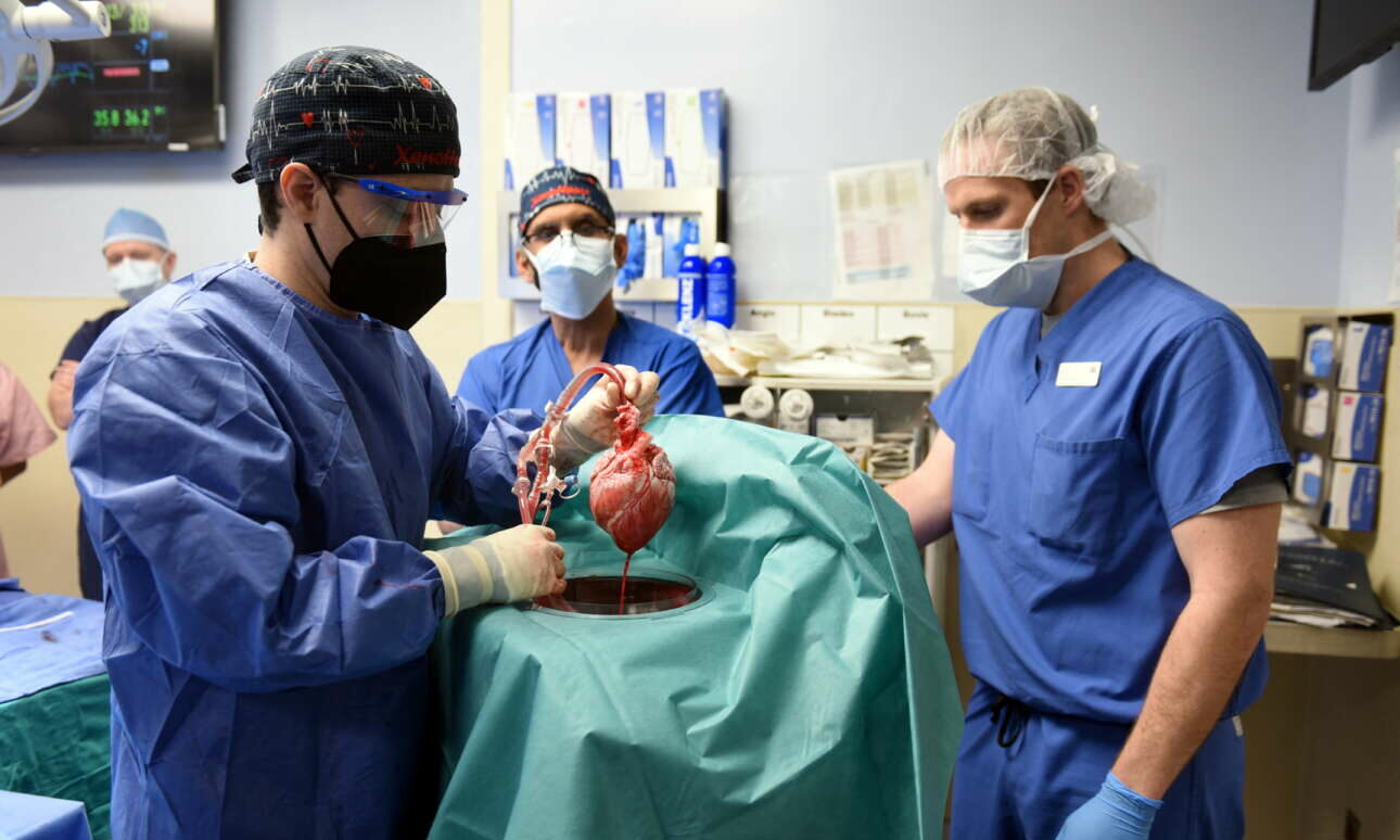 Ιατρικό άλμα στις ΗΠΑ: Σε 57χρονο η πρώτη στα χρονικά μεταμόσχευση καρδιάς χοίρου