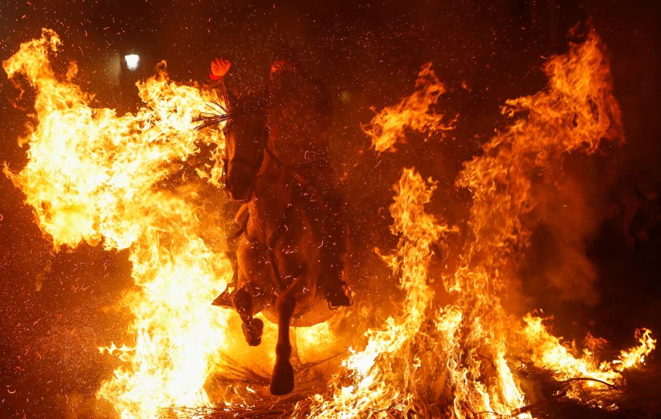 Αλογο και καβαλάρης υπερπηδούν τα προσανάμματα και διαπερνούν το φράγμα της φωτιάς σε ένα χωριό κοντά στη Μαδρίτη – η πυρά είναι λαογραφική, φουντώνει κάθε χρόνο στο πλαίσιο εκδηλώσεων που σχετίζονται με τη γιορτή του Αγίου Αντωνίου, «προστάτη των ζώων της Ισπανίας» 