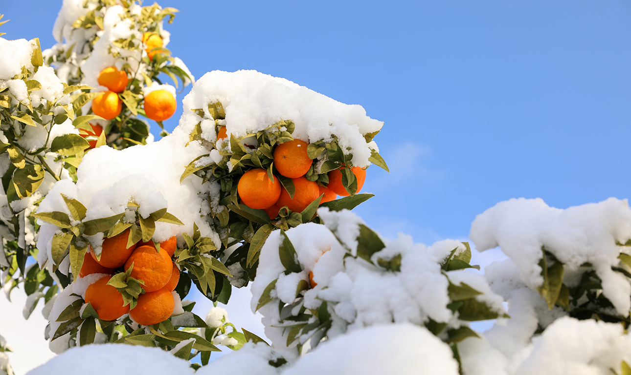 Θα «ξεπαγώσει» ο χειμερινός τουρισμός;