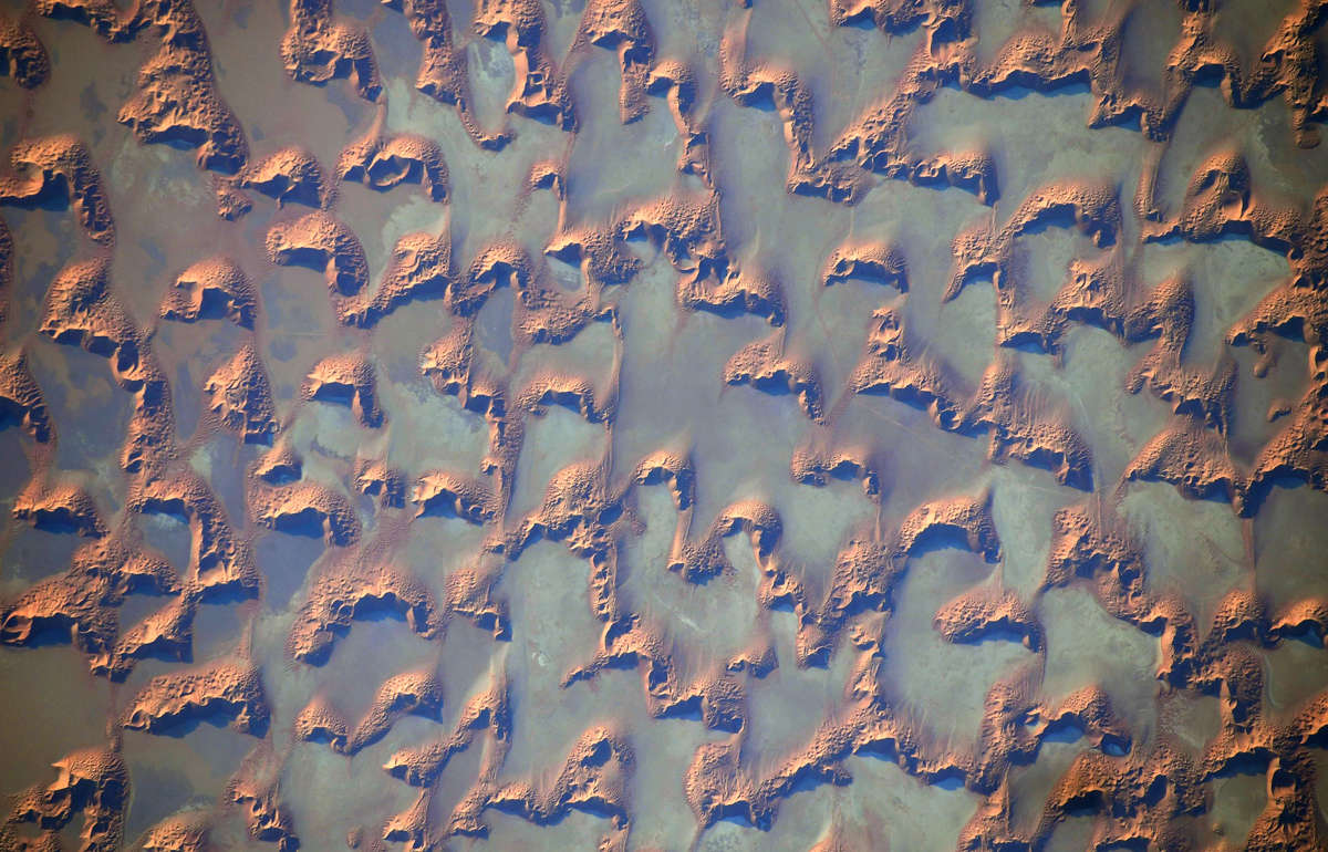 Αμμόλοφοι στην έρημο Σαχάρα