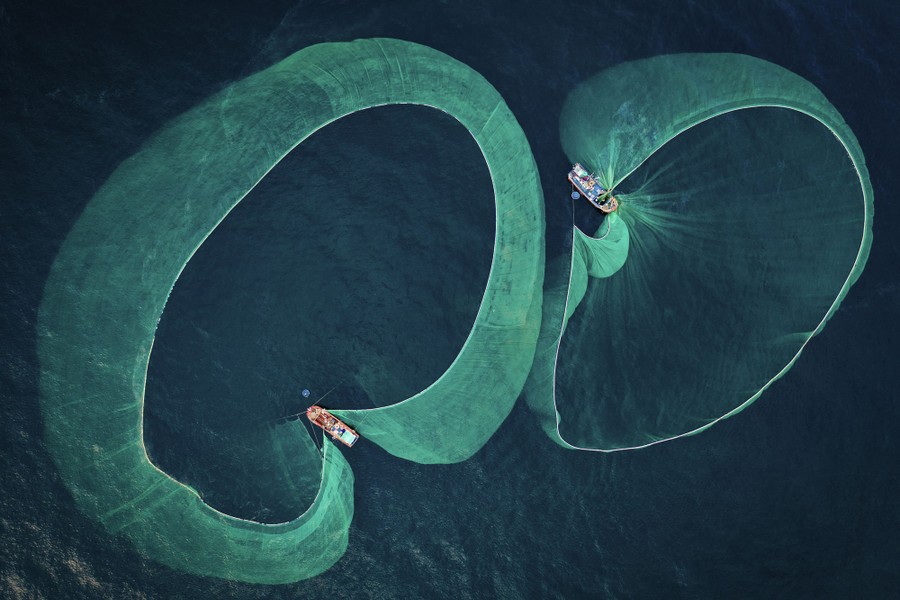 «Μεγάλη όρεξη»: Φωτογράφος της Χρονιάς 2022 του «Save Our Seas Foundation» στην κατηγορία «Θαλάσσια Προστασία». Μια πανοραμική άποψη στα ανοικτά των ακτών του Χον Γιεν, στην επαρχία Φου Γιεν του Βιετνάμ όπου πολλές οικογένειες ψαράδων ασχολούνται με την αλιεία αντσούγιας, που παστώνεται σε αλάτι και είναι η πιο σημαντική πρώτη ύλη για τη δημιουργία της παραδοσιακής βιετναμέζικης σάλτσας ψαριού. Αλλά όταν γίνεται υπεραλίευση, μειώνονται οι πληθυσμοί άλλων ψαριών που τρέφονται με αντσούγιες. Σύμφωνα με έρευνες του Ινστιτούτου Θαλασσίων  Ερευνών Βιετνάμ τα αποθέματα της αντσούγιας στα ύδατα του Βιετνάμ έχουν μειωθεί κατά 20-30% τα τελευταία 10 χρόνια. 