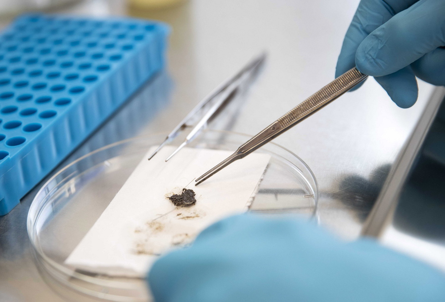 Το DNA ένωσε ξανά επτά αδέλφια που χωρίστηκαν όταν τα πούλησαν οι γονείς τους