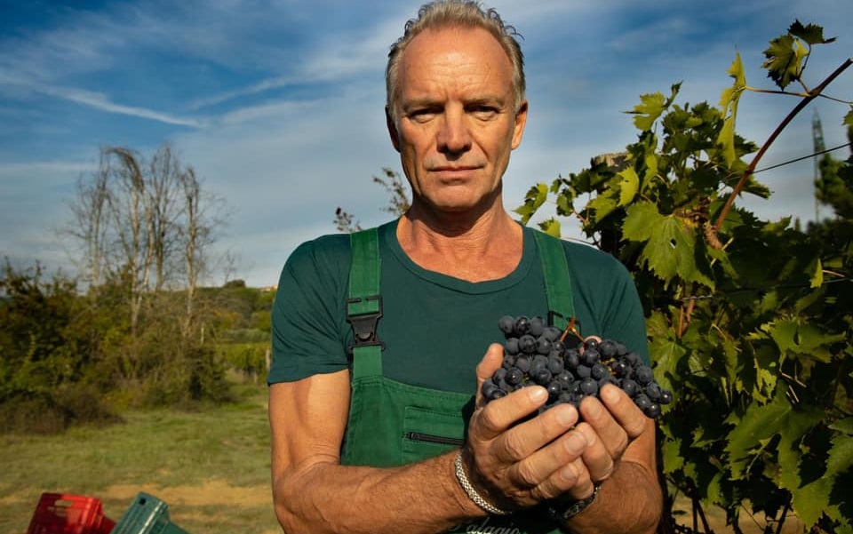 Ιταλία: Κάνει… «μάγια» στα κρασιά του ο Στινγκ;