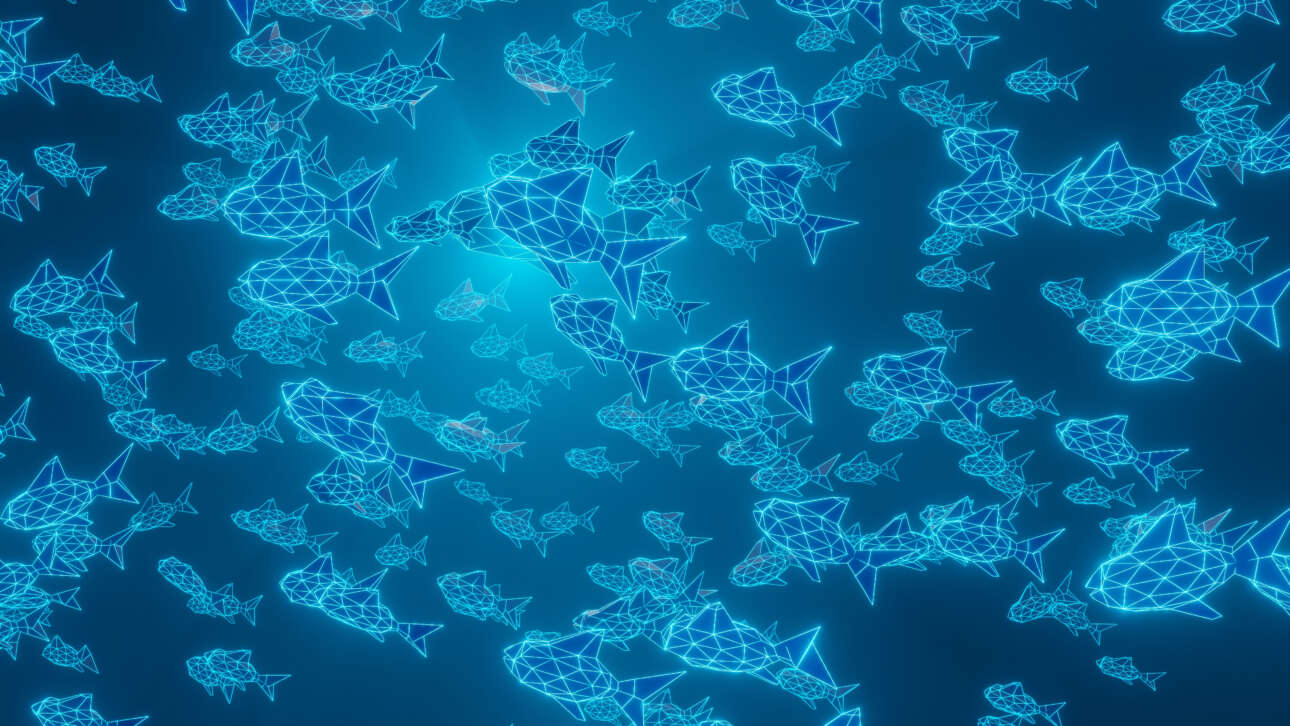 Δημιούργησαν ψάρι-ρομπότ από… καρδιακά κύτταρα