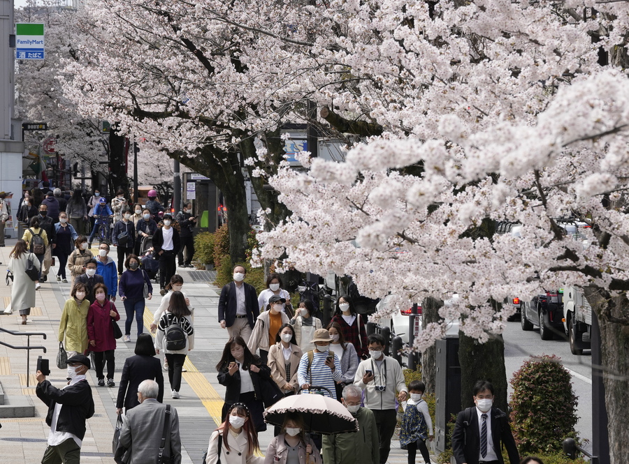 Τόκιο: Στη σκιά της Covid οι εορτασμοί για τις ανθισμένες κερασιές