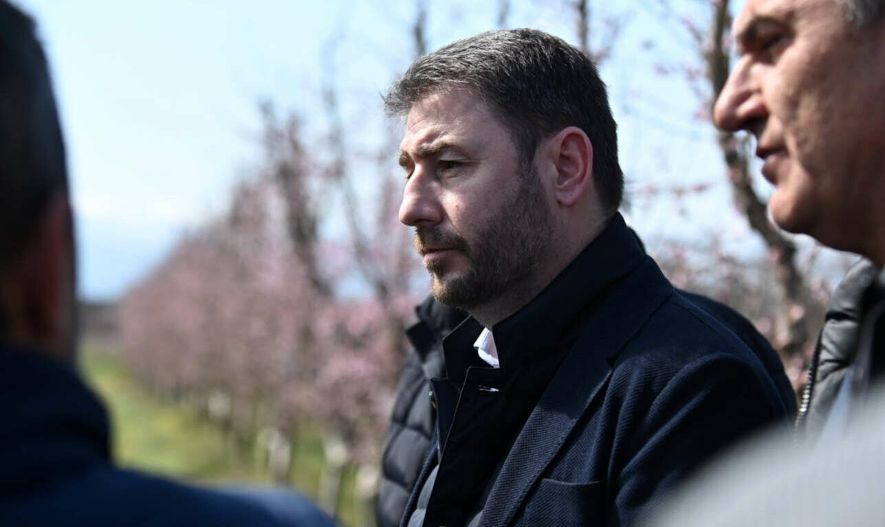 Ο Ανδρουλάκης συνδύασε το 1821 με τις ανατιμήσεις στην ενέργεια…