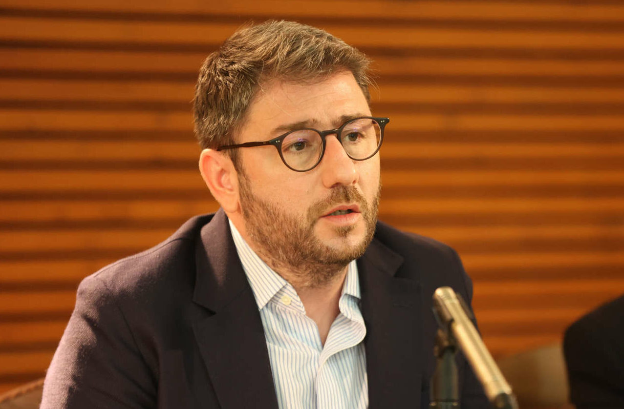 Ανδρουλάκης: Η Τουρκία θέλει να επιστρέψει σε ένα δήθεν «αυτοκρατορικό» παρελθόν