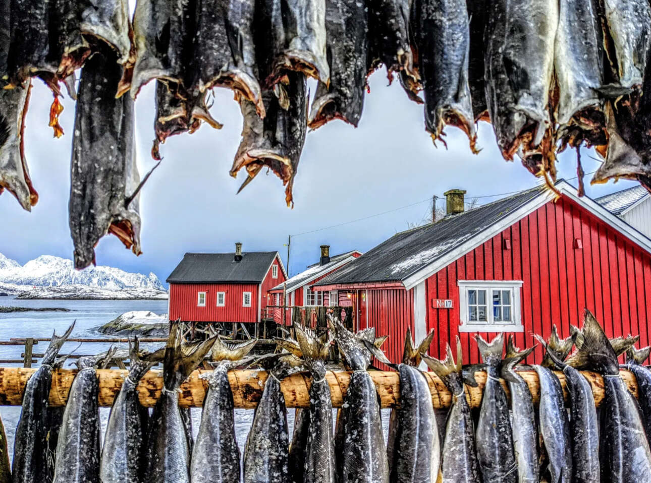 Στο αρχιπέλαγος Λοφότεν της Νορβηγίας, τα κρεμασμένα ψάρια έχουν γίνει μέρος του τοπίου. Ο μπακαλιάρος συντηρείται αφήνοντας τον να στεγνώσει πάνω σε μεγάλες βάσεις, χωρίς να χρειάζεται αλάτι ή καπνός, καθώς οι θερμοκρασίες είναι λίγο κάτω από το μηδέν. Το κλίμα είναι τέλειο για την παραγωγή παστών ψαριών σε εξωτερικό χώρο