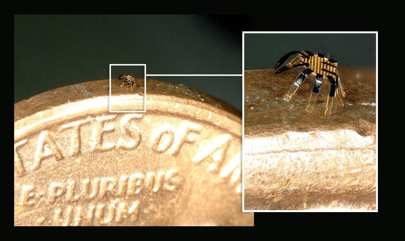 Ρομποτικό «καβούρι» θα καθαρίζει τις αρτηρίες ασθενών