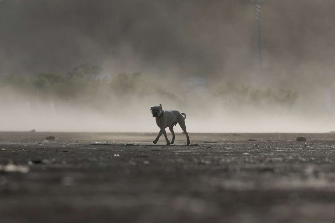 Ξηρασία, μέτρια και μεγάλη, στο Μεξικό: ασφαλώς δεν φταίει ο σκύλος για τον κουρνιαχτό που έσβησε τον ορίζοντα – δεν τον σήκωσε η μοναχική βόλτα του στην αποξηραμένη λεκάνη του φράγματος Λα Μπόκα, αλλά ο δυνατός άνεμος 