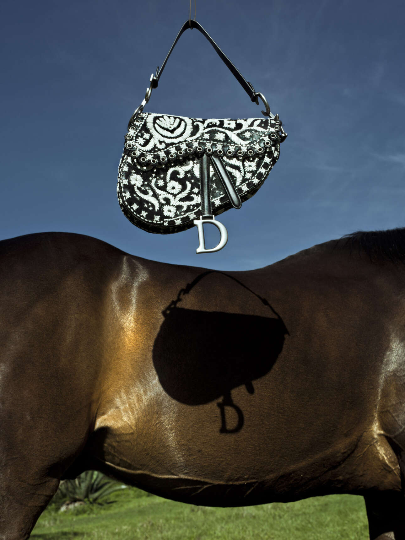 Στη φωτογράφιση για τη συλλογή Dior Cruise 2019 της Μαρία Γκράτσια Κιούρι στο Μεξικό, η Κριστίνα τε Μιντέλ έδωσε έμφαση στα άλογα. Στην παραπάνω εικόνα, αυτό που την τράβηξε ήταν η γλυπτική σωματικότητα των ζώων που καβαλούσαν οι «εσκαραμούζα» -ομάδες οκτώ γυναικών που ιππεύουν μαζί εκτελώντας εντυπωσιακές χορογραφίες πάνω στα άλογα - των οποίων το στυλ και η ατρόμητη στάση ήταν βασικές πηγές έμπνευσης για τη συλλογή