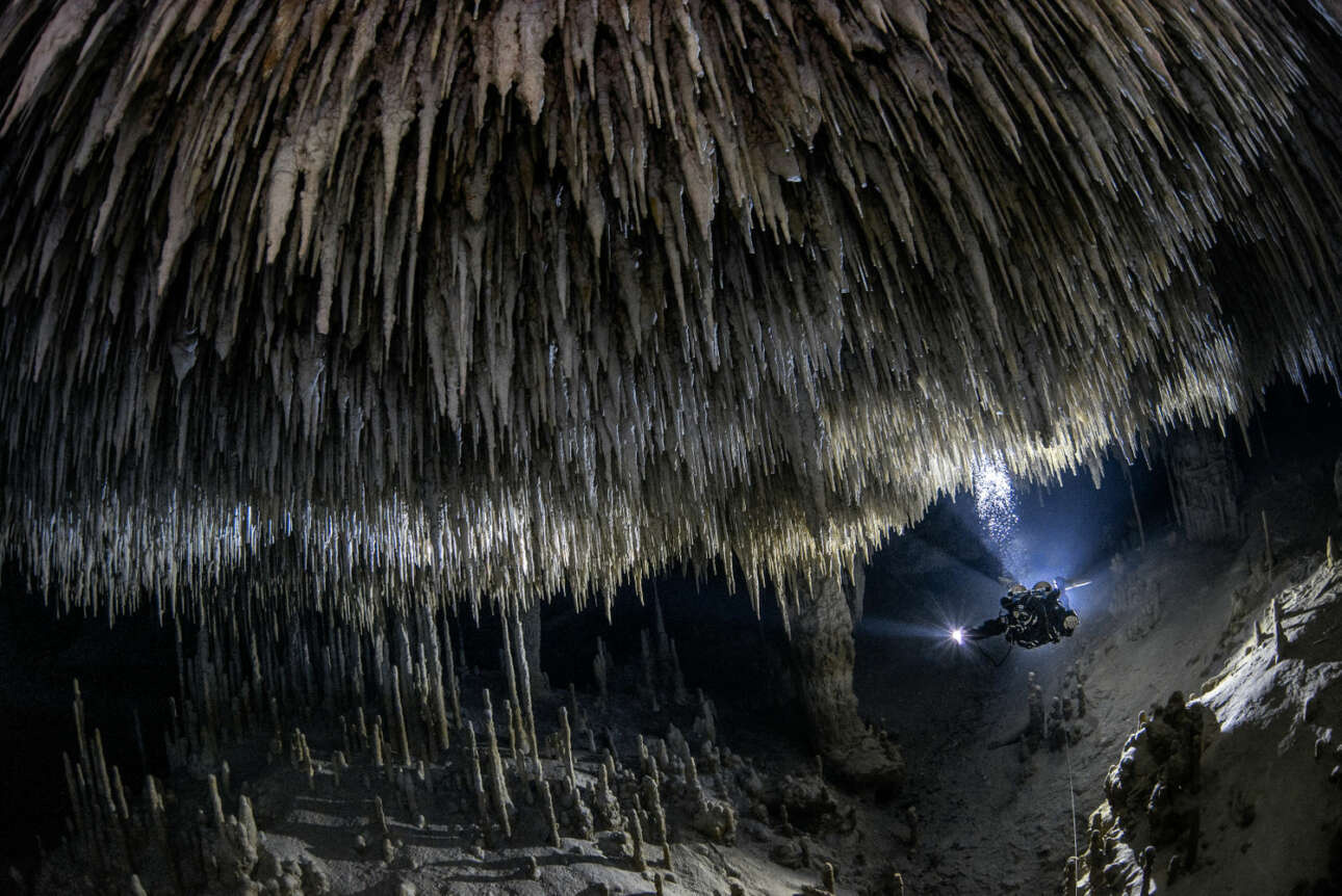 Βραβείο στην κατηγορία Τοπία, Υδάτινα τοπία και Χλωρίδα. Με την παραπάνω φωτογραφία, ο Τομ Σεν Τζορτζ θέλει να αναδείξει την απίστευτη φυσική ομορφιά που βρίσκεται στα υποβρύχια σπήλαια της Ριβιέρα Μάγια του Μεξικού, αλλά και να επιστήσει την προσοχή στο εύθραυστο οικοσύστημά της που απειλείται από την αυξανόμενη τουριστική υπερανάπτυξη της περιοχής. Το συγκεκριμένο πέρασμα αποτελεί μέρος ενός εκτεταμένου υπόγειου δικτύου πλημμυρισμένων καταβόθρων και σπηλαίων που φιλοξενούν μια εκπληκτική ποικιλία από ψάρια και ζωοπλαγκτόν, τα περισσότερα από τα οποία βρίσκονται μόνο στο Γιουκατάν