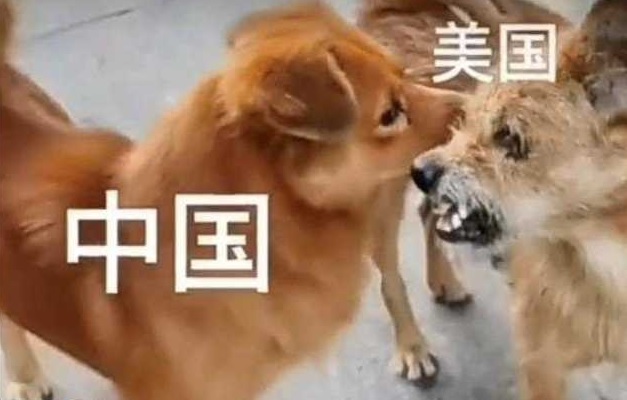 Σκυλοκαβγάς στην υπηρεσία της κινεζικής προπαγάνδας