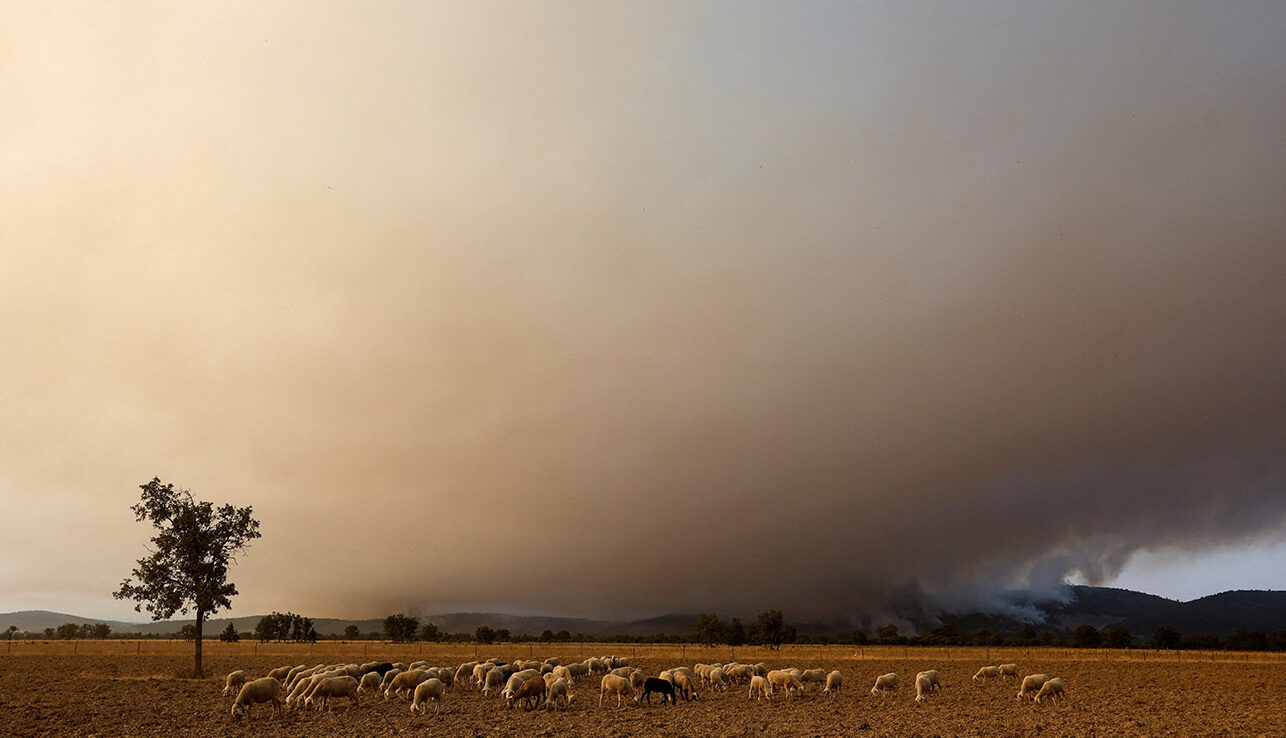 Ολα τα ‘χε η Ευρώπη, το κύμα καύσωνα τής έλειπε