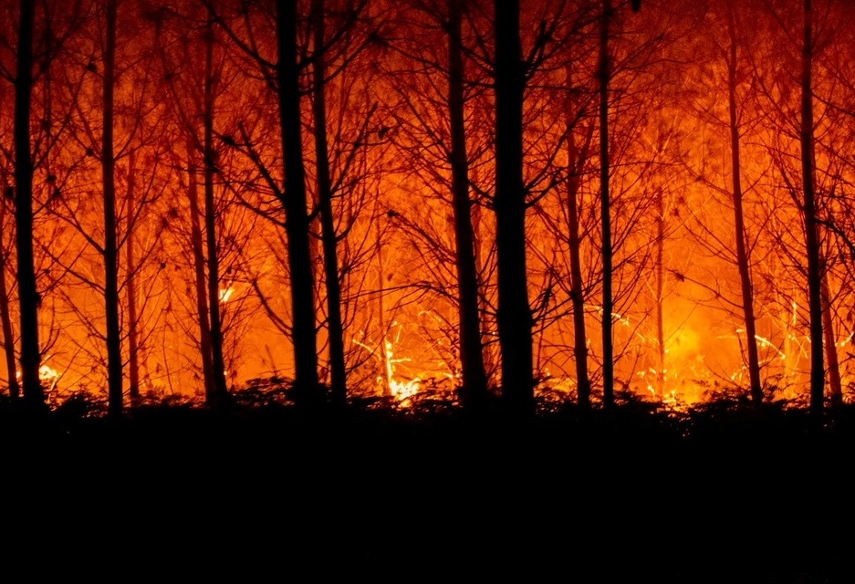 Δάσος τυλίγεται στις φλόγες στην περιοχή Gironde της Γαλλίας