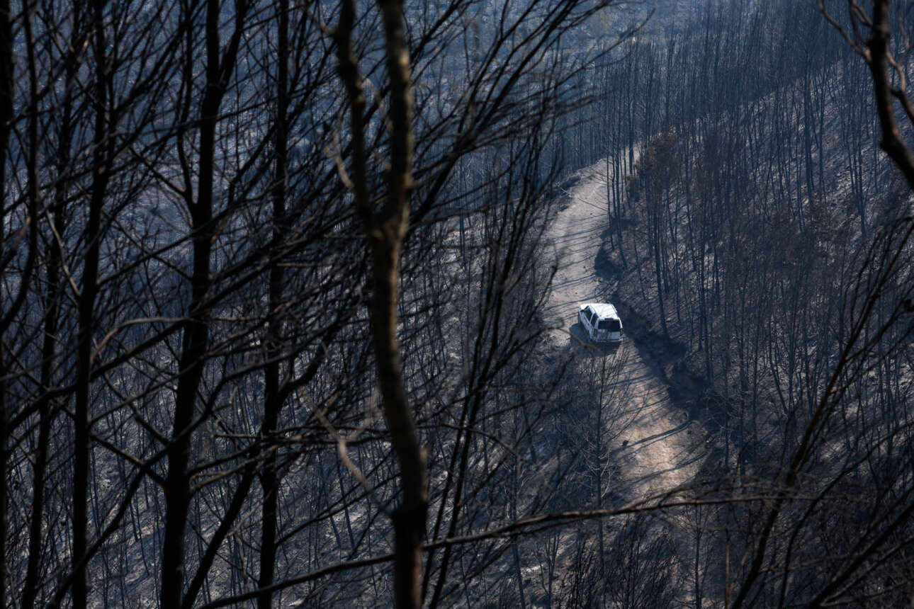Αποκαρδιωτικό θέαμα στην Ισπανία: ένα αυτοκίνητο διασχίζει ένα καμένο δάσος στο El Pont de Vilomara, βόρεια της Βαρκελώνης 