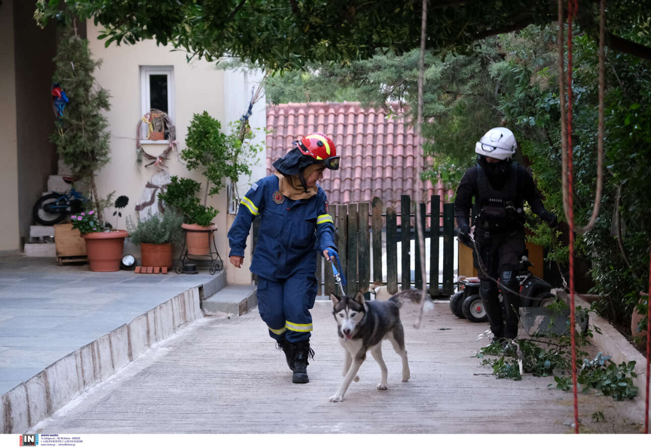 Πυροσβέστρια σώζει ένα σκύλο από σπίτι στο Ντράφι