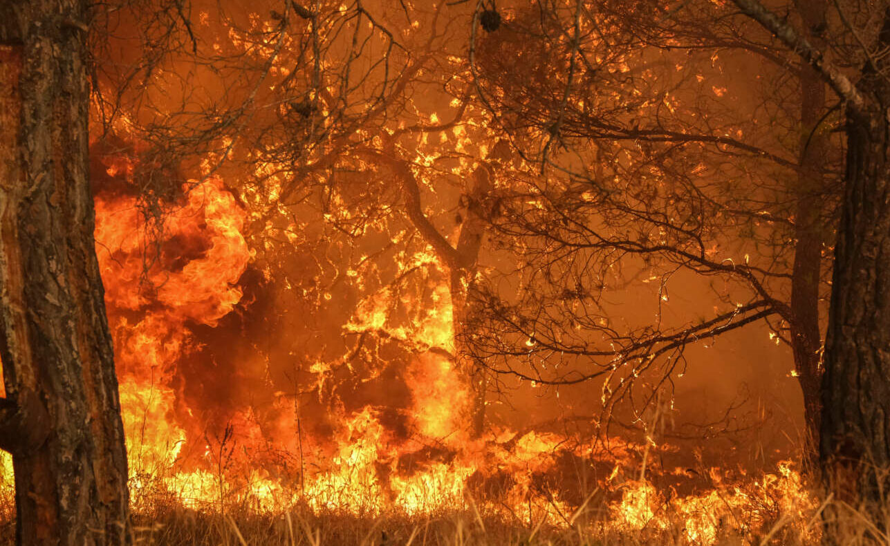 Δυο συλλήψεις για την φωτιά στη Μάνδρα