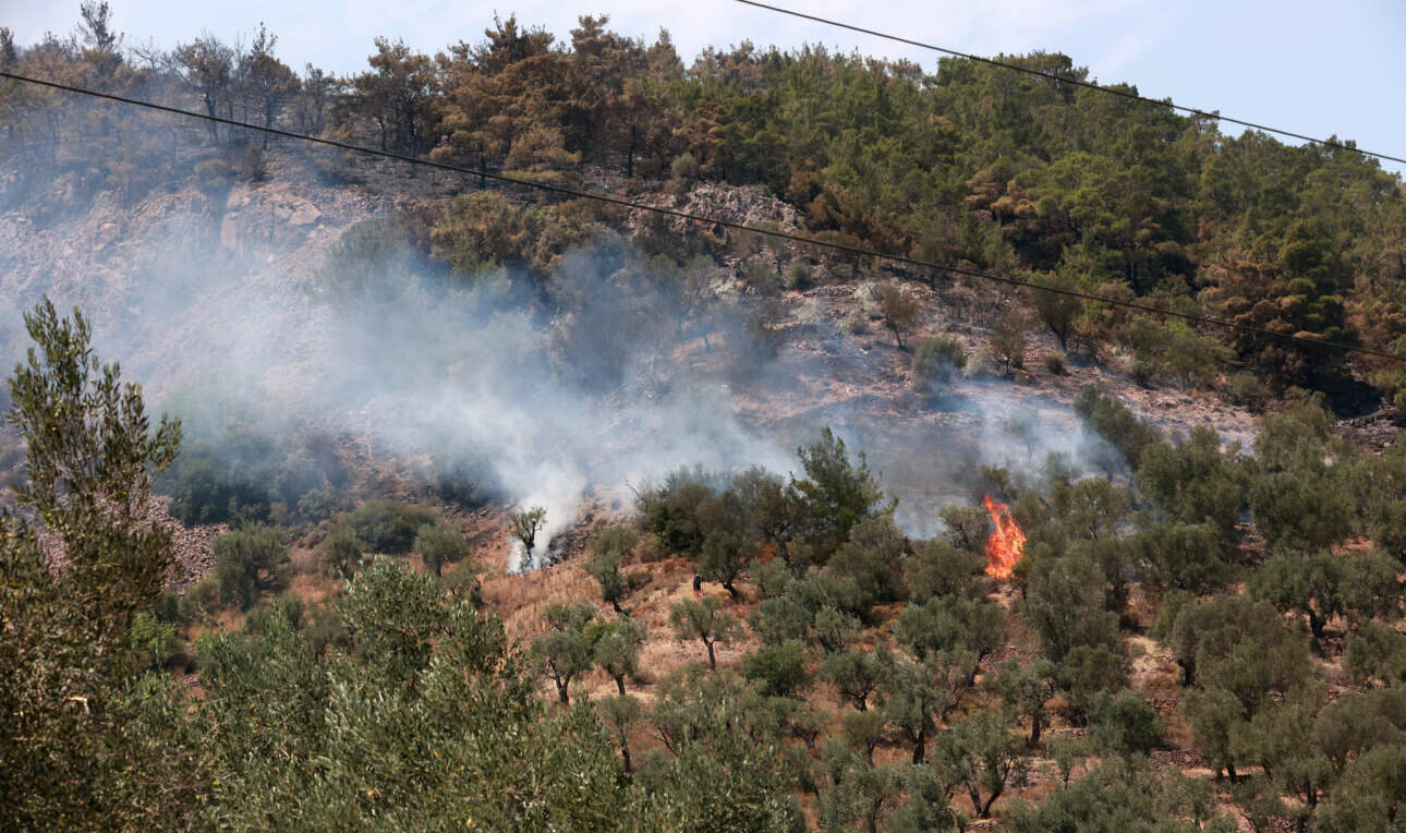 Μεγάλη αναζωπύρωση της πυρκαγιάς στη νότια Λέσβο