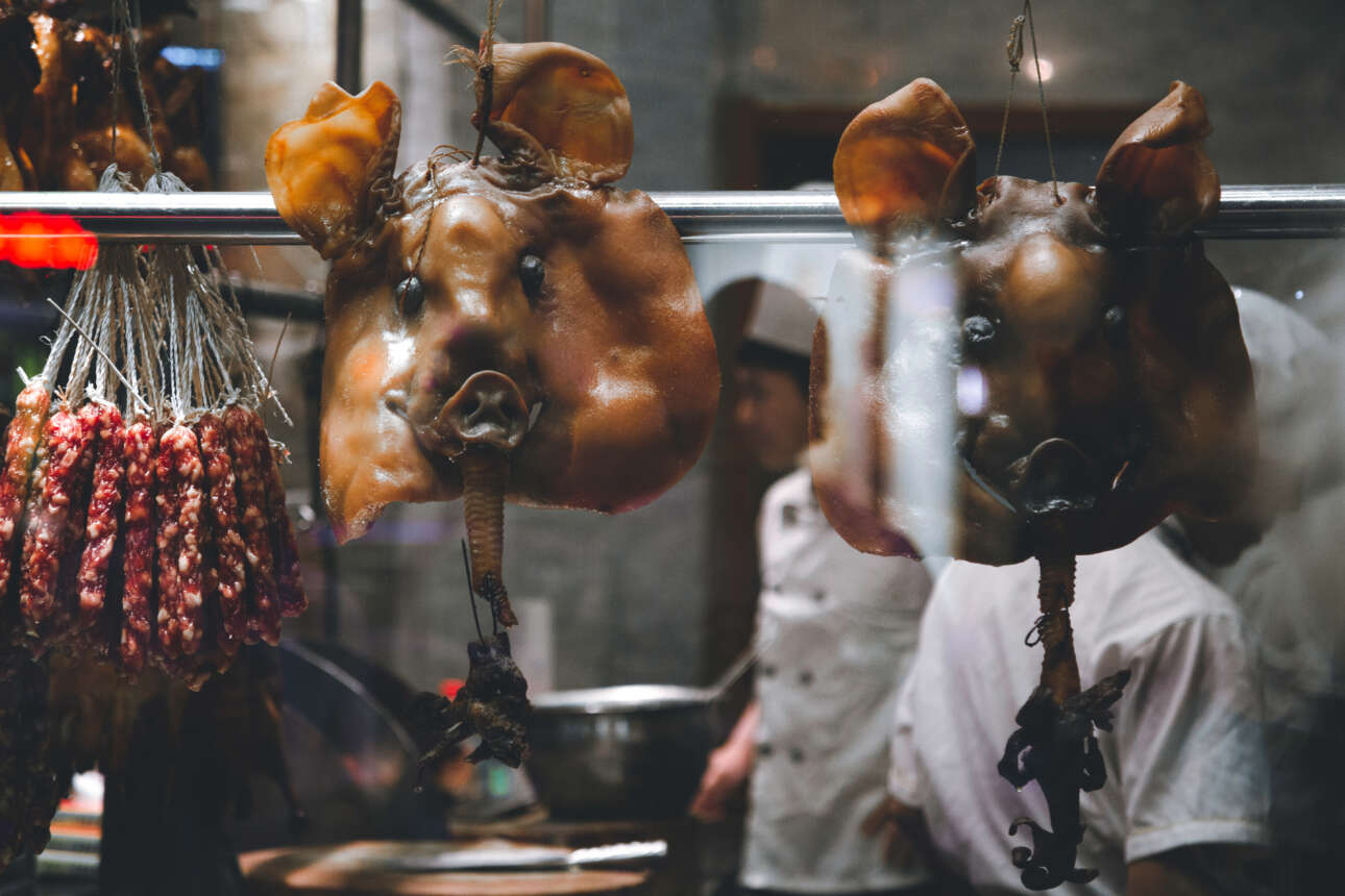 Οριστικό: Από τη Γουχάν μεταδόθηκε για πρώτη φορά από ζώο σε άνθρωπο ο κορονοϊός