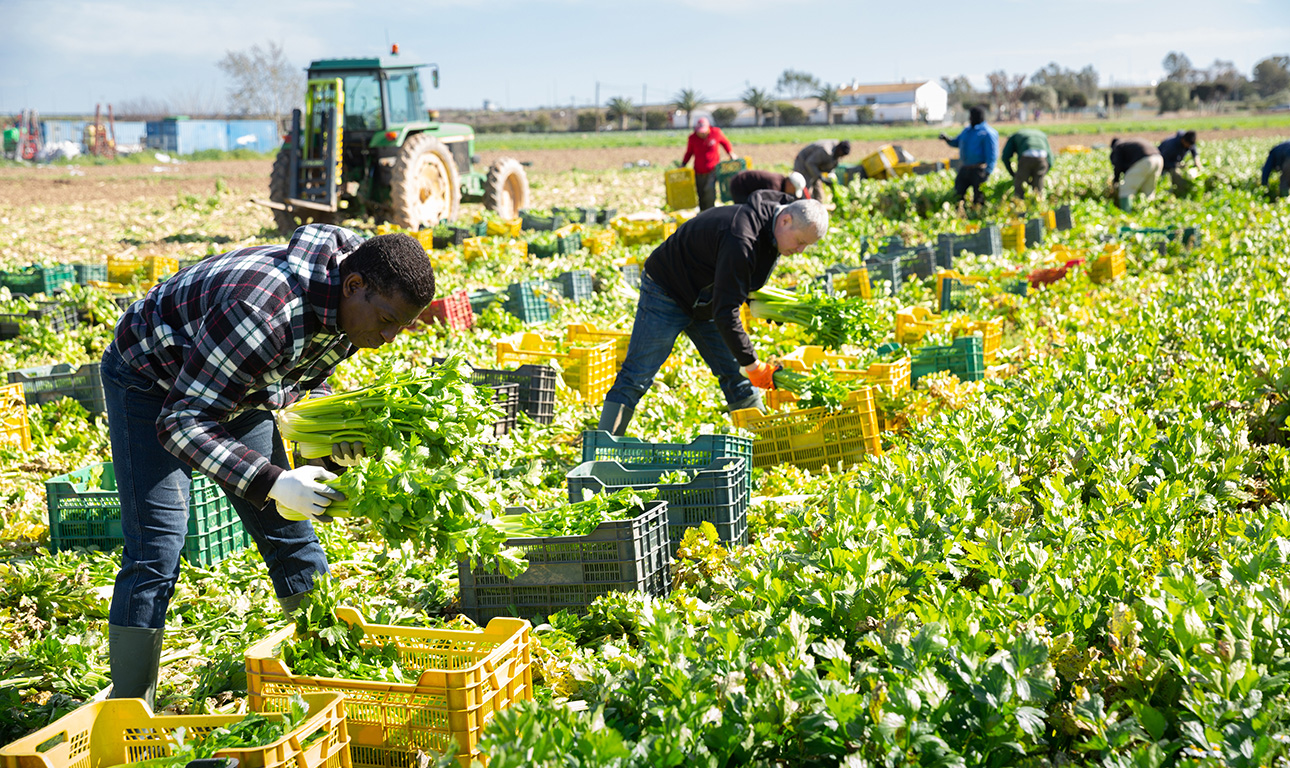 Ισπανία: Ενθαρρύνει τη νόμιμη μετανάστευση με την ελπίδα ότι θα την ελέγξει