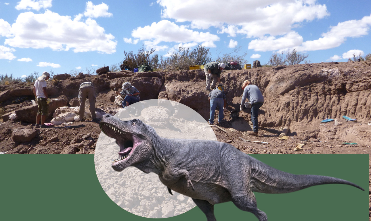 Τα μικρά χέρια του T.rex ήταν εργαλείο για το σεξ