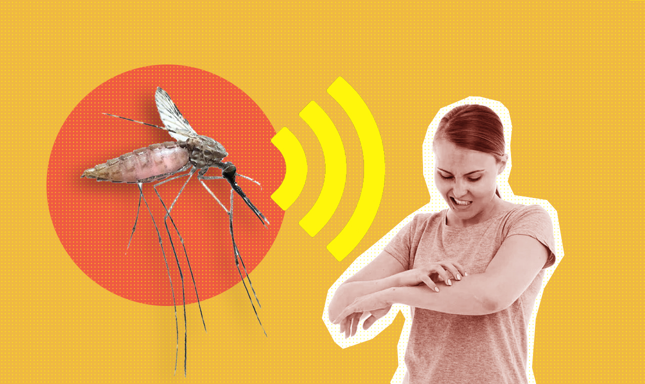 Τα κουνούπια έχουν ειδικό μηχανισμό για να μας εντοπίζουν