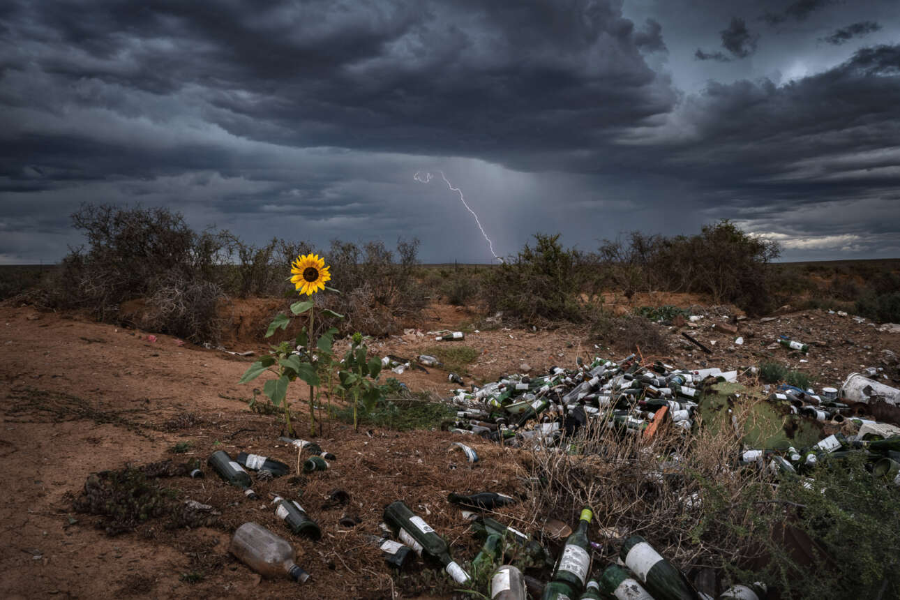Νικητής στην κατηγορία Τοπία. Μια καταιγίδα περνάει πάνω από ένα ηλιοτρόπιο, το οποίο κατάφερε κόντρα στις πιθανότητες να επιβιώσει μέσα σε έναν σκουπιδότοπο στην ημίξηρη περιοχή Kαρού της Νότιας Αφρικής