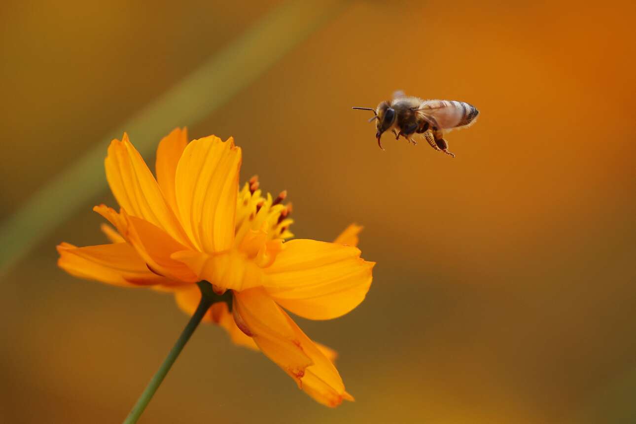 «Ο Πούτιν δεν μπόρεσε να σκοτώσει τα κορίτσια μου»