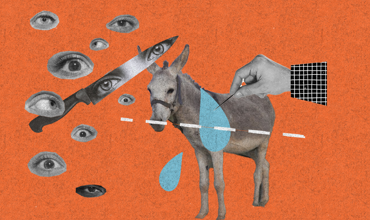 Βοηθάει να βλέπουμε σκηνές κακοποίησης στην ΤV;