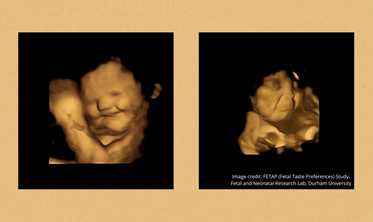 Τα μωρά καταλαβαίνουν και αντιδρούν στις γεύσεις πριν καν γεννηθούν