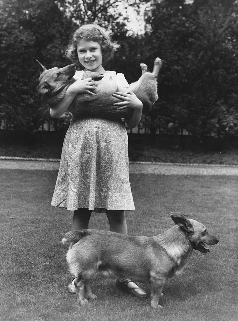 Από μικρή είχε αδυναμία στα σκυλιά ράτσας Κόργκι και κατά τη διάρκεια της βασιλείας της είχε πάνω από τριάντα. Στη φωτογραφία με δύο από αυτά στο Λονδίνο, το 1936