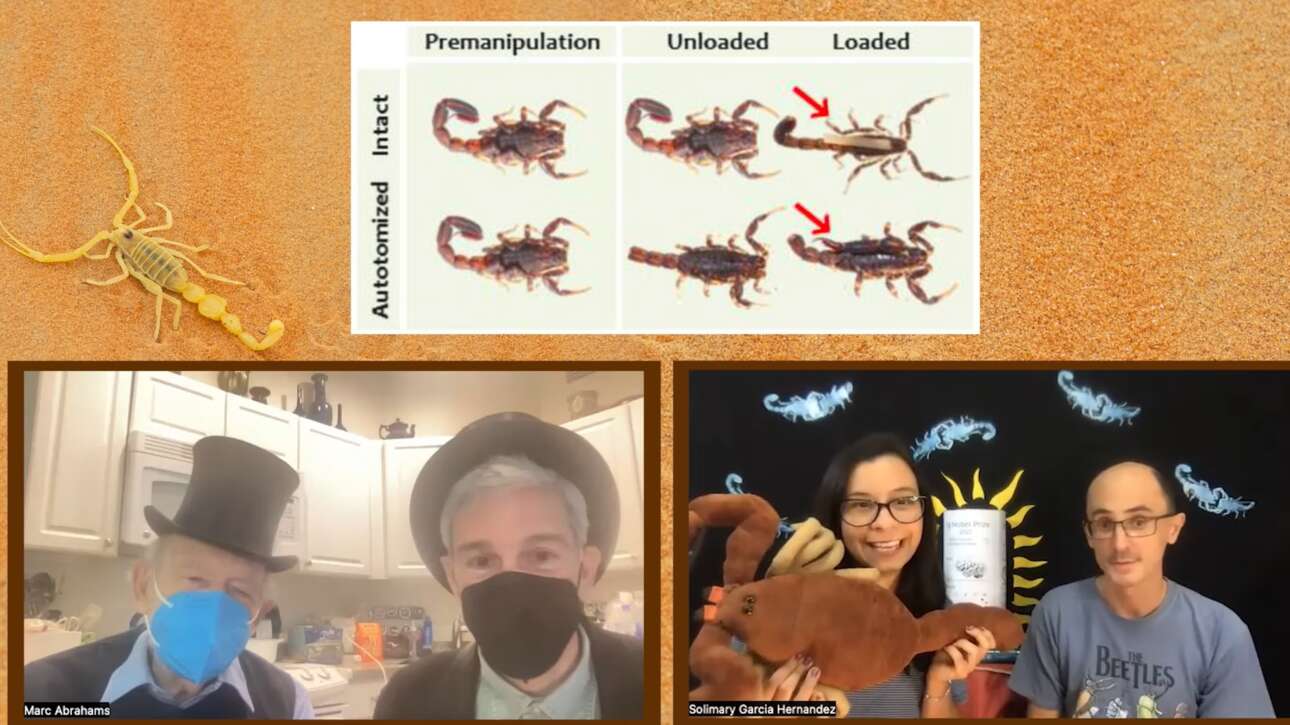 Στο στρίψιμο του πόμολου ένα από τα «Νομπέλ του τρελού επιστήμονα»