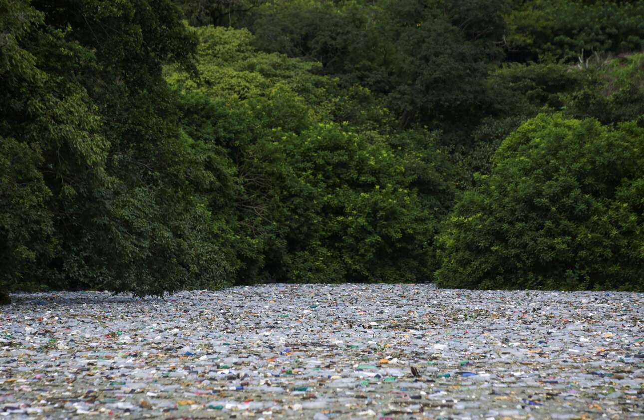 Τα νερά της λίμνης Ελ Τσερόν Γκράντε, στο Ελ Σαλβαδόρ, δεν διακρίνονται σε αυτό το κλικ – τα σκεπάζει το παχύ στρώμα που έχουν δημιουργήσει τα επιπλέοντα πλαστικά μπουκάλια και τα υπόλοιπα σκουπίδια – κατά τα λοιπά, ζούγκλα 