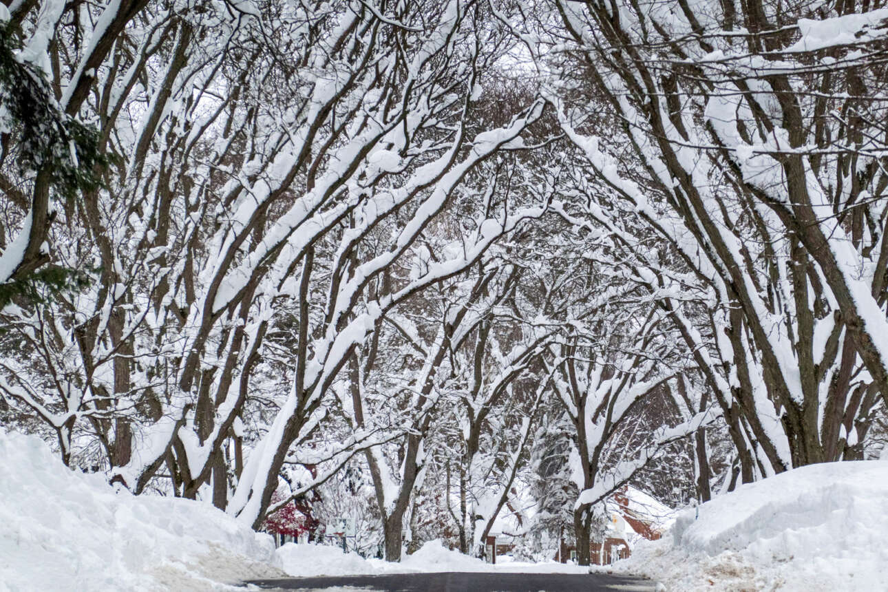 Στη Νέα Υόρκη το φθινόπωρο υποχωρεί και δίνει τη θέση του στον χειμώνα και σε μια σφοδρή χιονοθύελλα