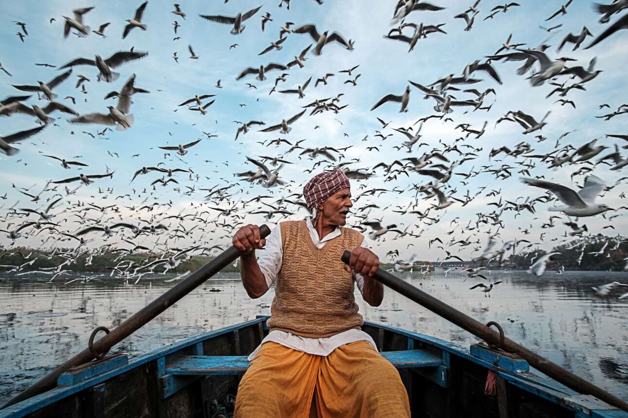 Ενας ηλικιωμένος άνδρας ταΐζει αποδημητικά πουλιά στο Yamuna Ghat, στο Δελχί της Ινδίας. Κάθε χρόνο, από τον Οκτώβριο έως τον Μάρτιο, χιλιάδες γλάροι μεταναστεύουν από τη Σιβηρία στο Δελχί. Οι ντόπιοι έρχονται να τους ταΐσουν πιστεύοντας ότι είναι καλό κάρμα