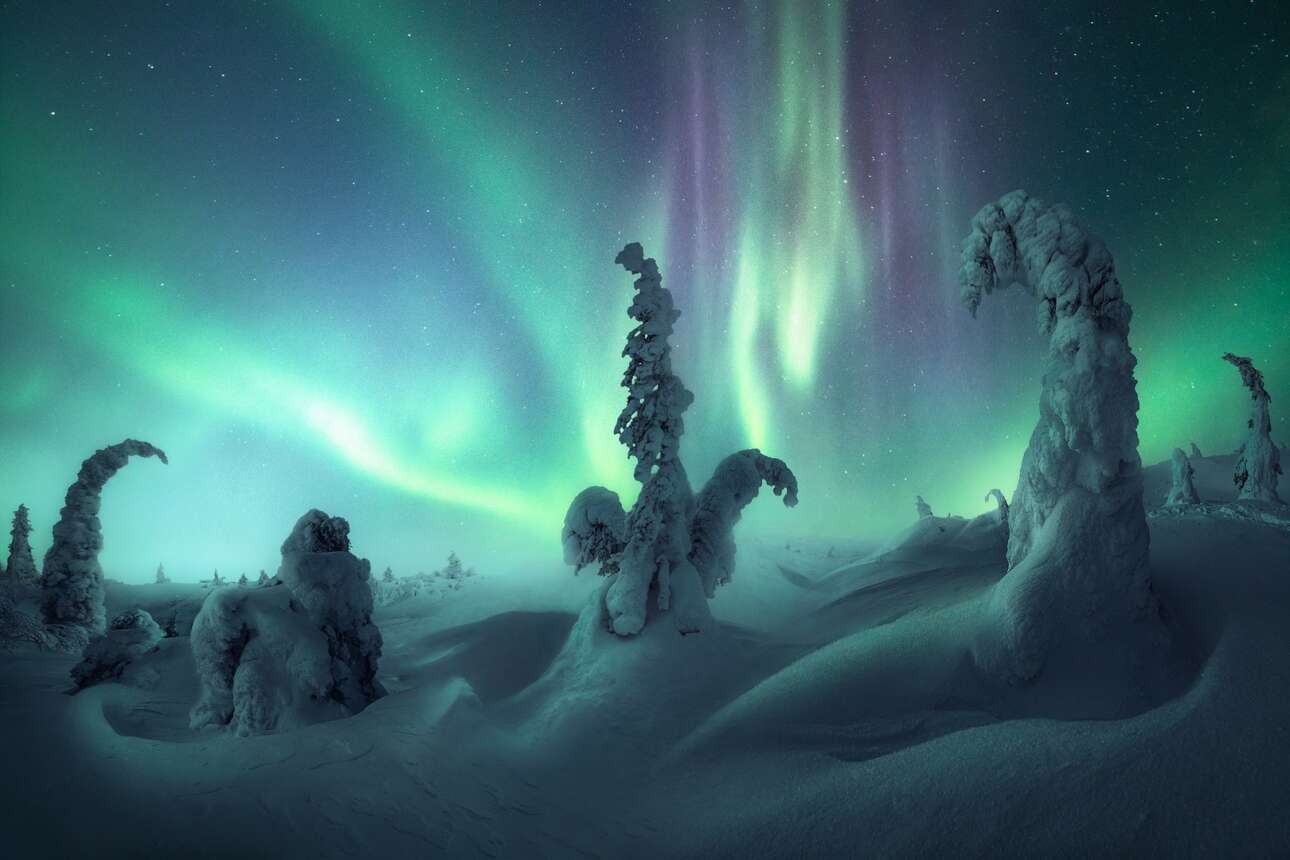 «Polaris Dream», Ομπλάστ του Μουρμάνσκ, Ρωσία.  Στη βόρεια Ρωσία νιώθεις σαν να βρίσκεσαι στο βασίλειο των τεράτων του χιονιού. Και εκείνο το βράδυ, το Βόρειο Σέλας προσέφερε ένα απίστευτο σόου