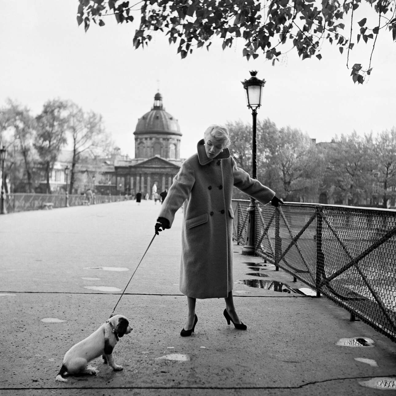 Μοντέλο και σκύλος, με διαφορετικές βουλήσεις, στη γέφυρα Passerelle des Arts, πάνω από τον Σηκουάνα, το 1955. «Τα μοντέλα γίνονται δύστροπα μερικές φορές και αυτός ο σκύλος δεν αποτέλεσε εξαίρεση», είχε σχολιάσει η Στάφορντ