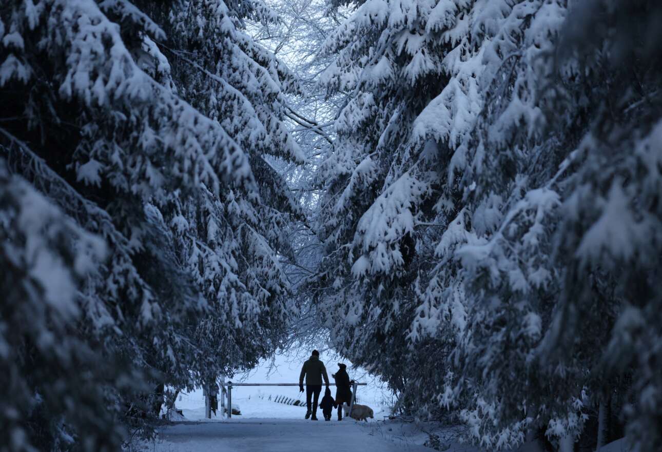 Ευτυχισμένος οικογενειακός περίπατος στο ξέφωτο του χιονισμένου δάσους – ήρεμο καρέ από την ισιάδα που στους χάρτες της Ευρώπης σημαίνεται ως Βέλγιο