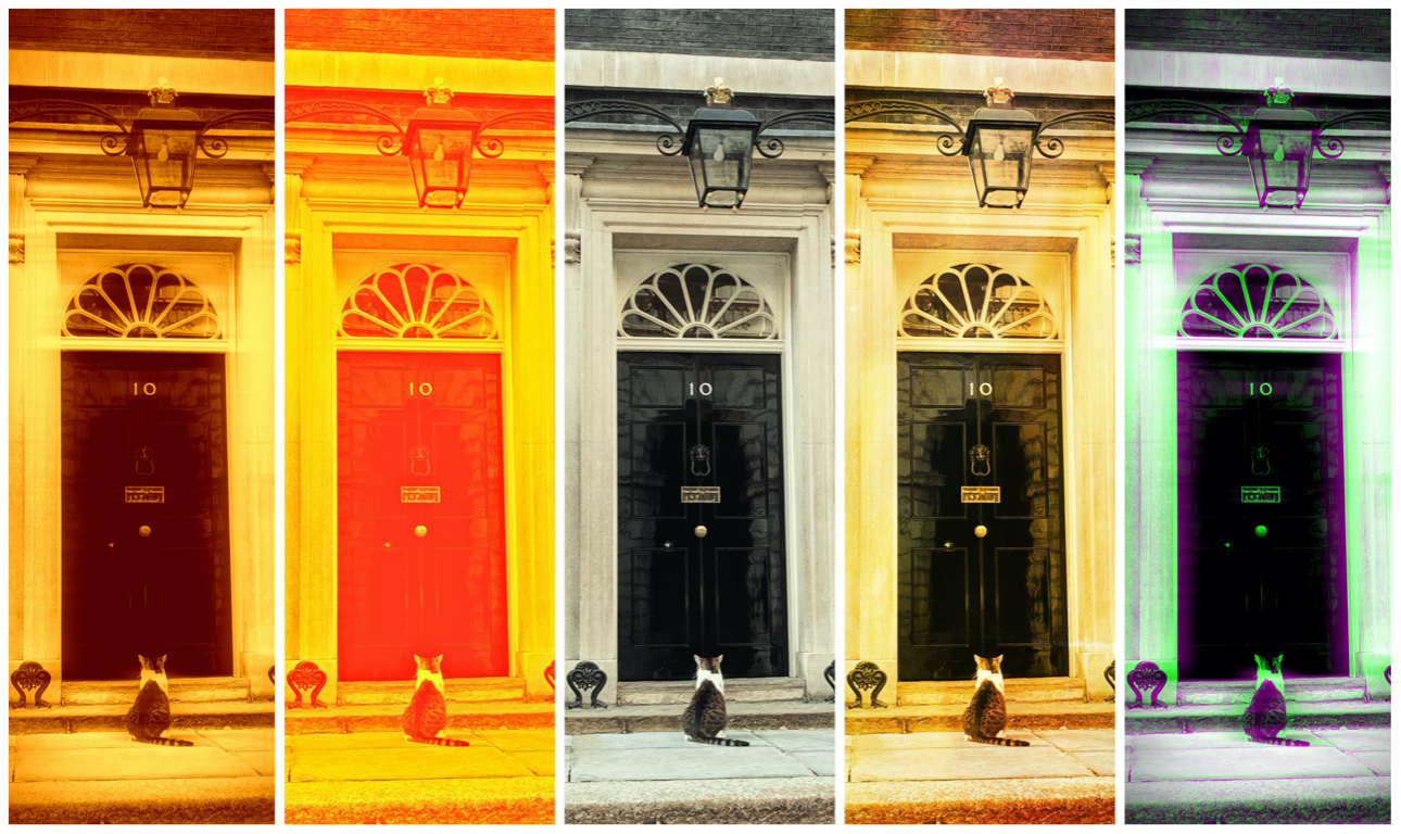 Λάρι, ο γάτος στην υπηρεσία πέντε βρετανών πρωθυπουργών