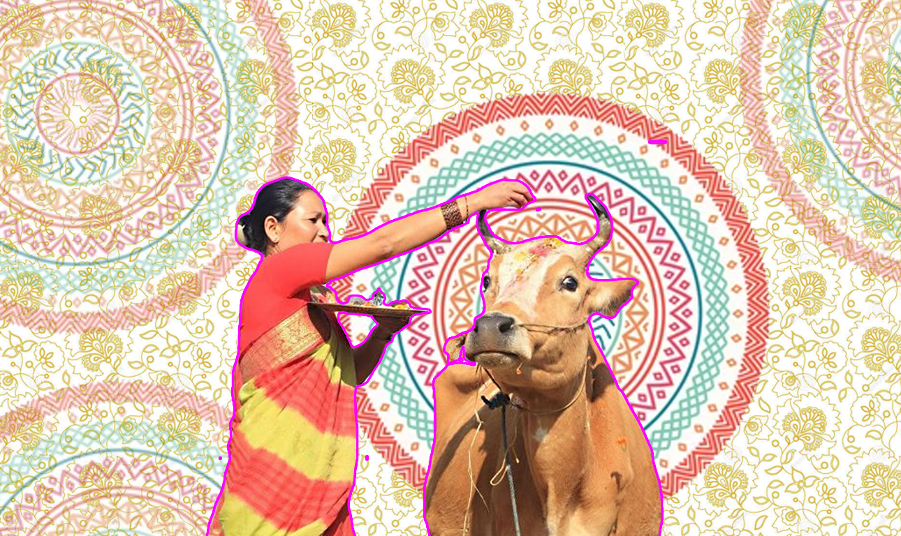 Ινδία: Οι «ιερές» αγελάδες παίζουν το παιχνίδι της… Δεξιάς