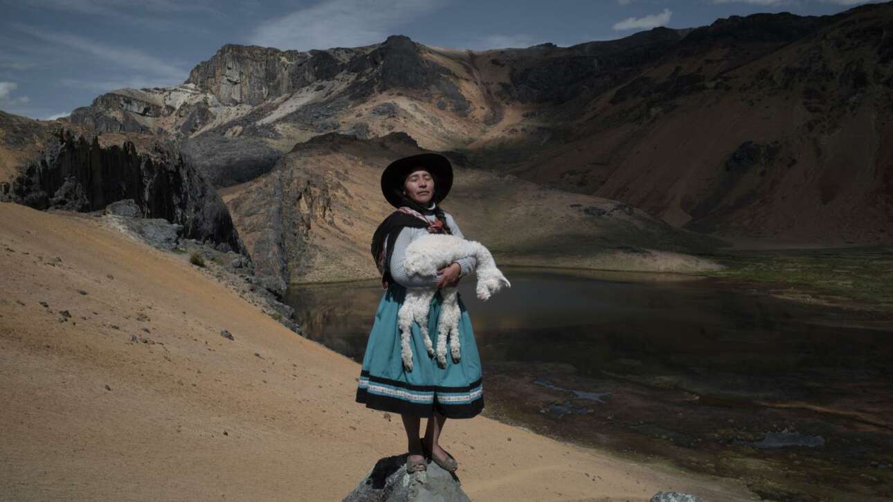Η συρρίκνωση των παγετώνων και η αυξημένη ανομβρία ξηραίνουν τα βοσκοτόπια στις Περουβιανές Ανδεις, αναγκάζοντας τους βοσκούς αλπακά -πολλοί από τους οποίους είναι γυναίκες- να αναζητήσουν νέους βοσκοτόπους, συχνά σε δύσκολα εδάφη
