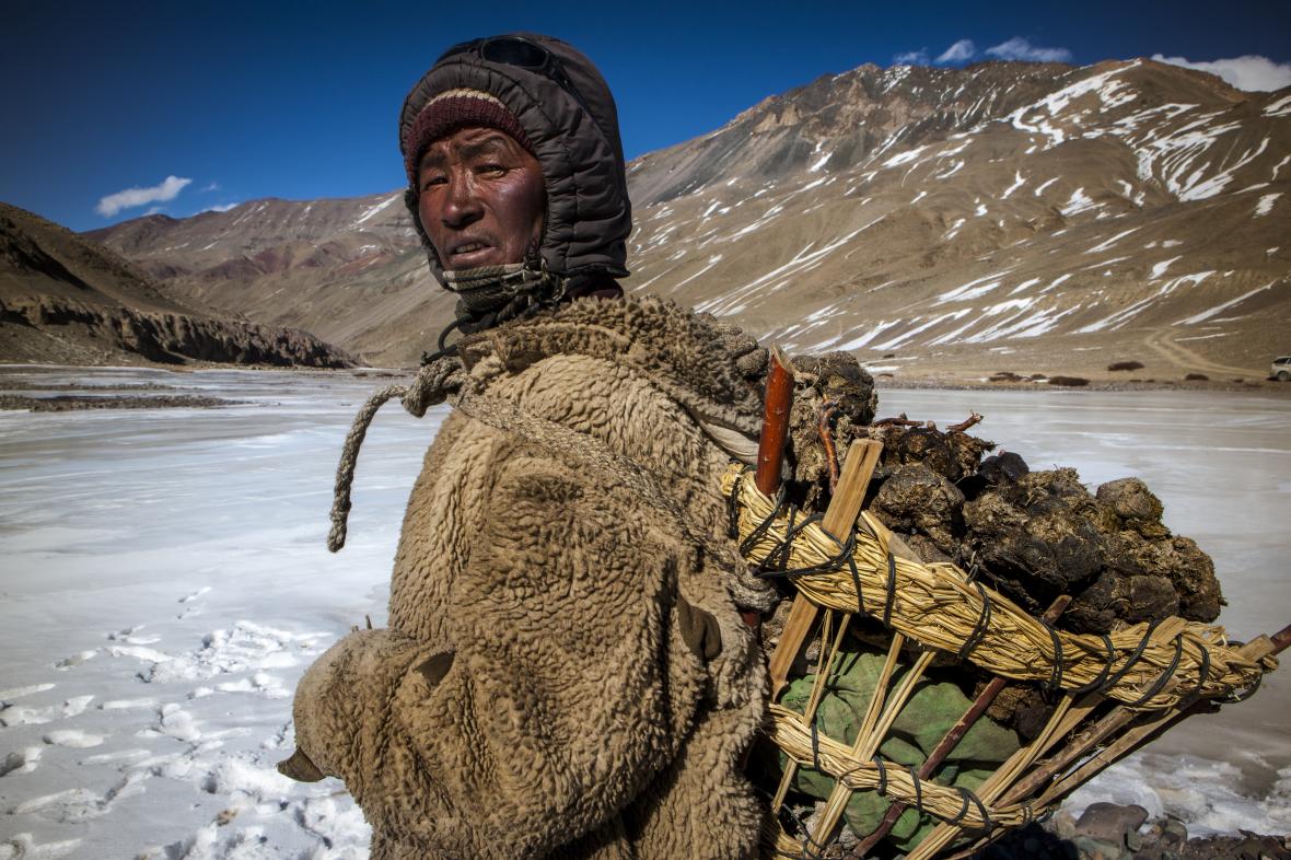 Στις όχθες μιας παγωμένης λίμνης κοντά στο Τζία, στο ινδικό τμήμα του Κασμίρ, ένας βοσκός Ladakhi μεταφέρει αποξηραμένη κοπριά από γιακ, για να τη χρησιμοποιήσει ως καύσιμο και για ενίσχυση της μόνωσης των σπιτιών